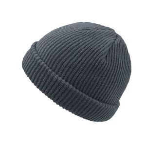Atlantis Skate Beanie / Gray